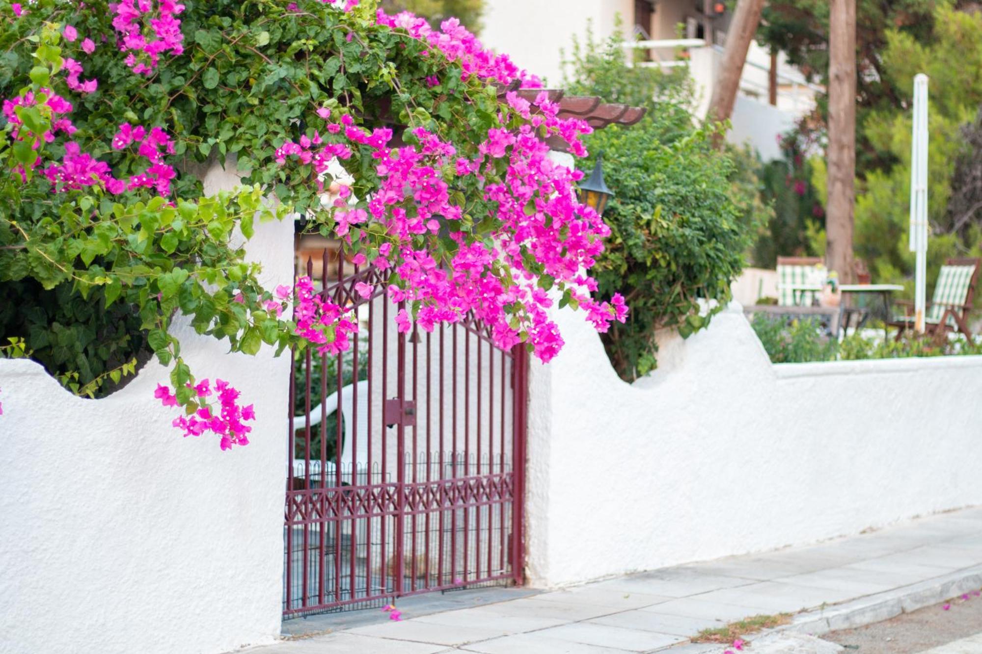Seaview - Poros Relaxing Beachfront Flat Póros
